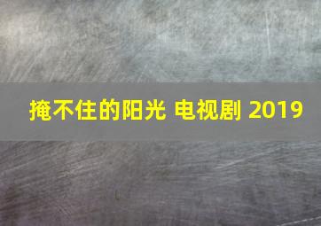 掩不住的阳光 电视剧 2019